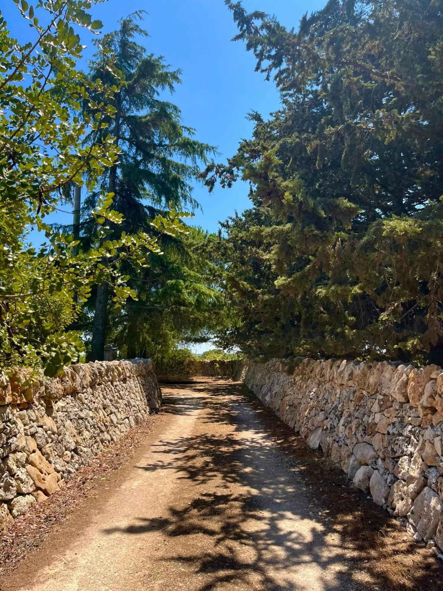 I Trulli Della Naturabio Martina Franca Extérieur photo