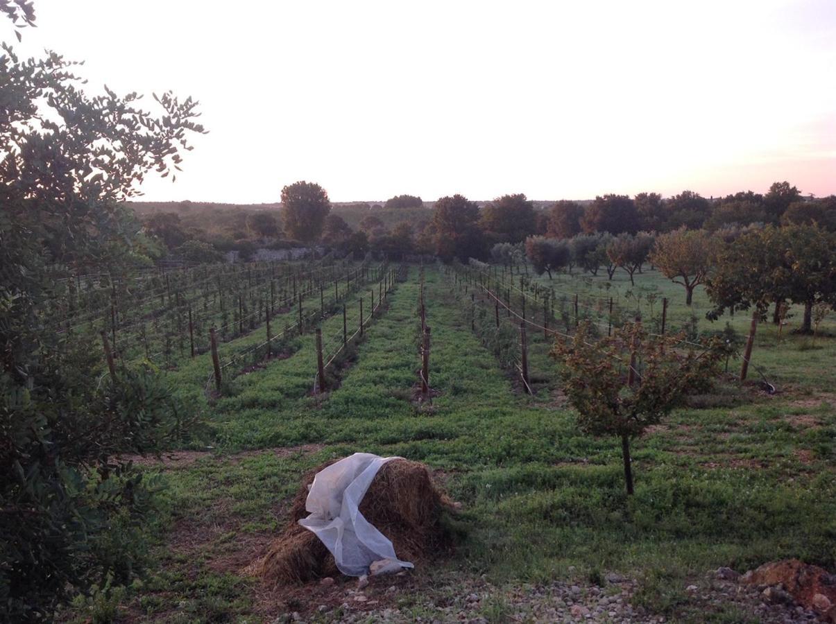 I Trulli Della Naturabio Martina Franca Extérieur photo